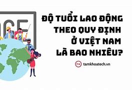 Độ Tuổi Lao Động Của Việt Nam