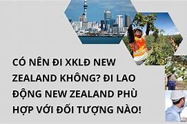 Phí Đi Xklđ New Zealand